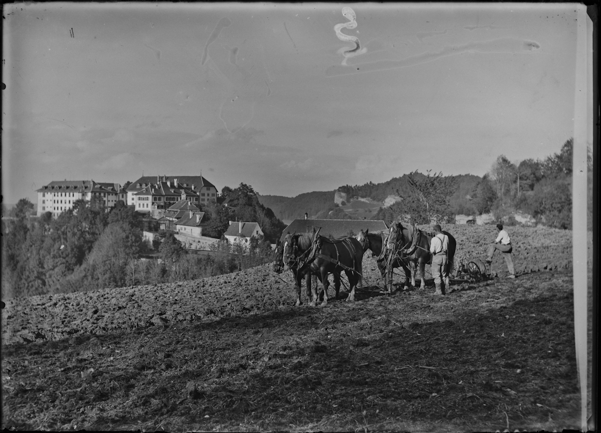 Straf- und Verwahrungsanstalt Thorberg, Krauchthal; Gefangene beim Pflügen im Schybenrain, Pflug mit vier Pferden und zwei Arbeitern, im Hintergrund der Thorberg