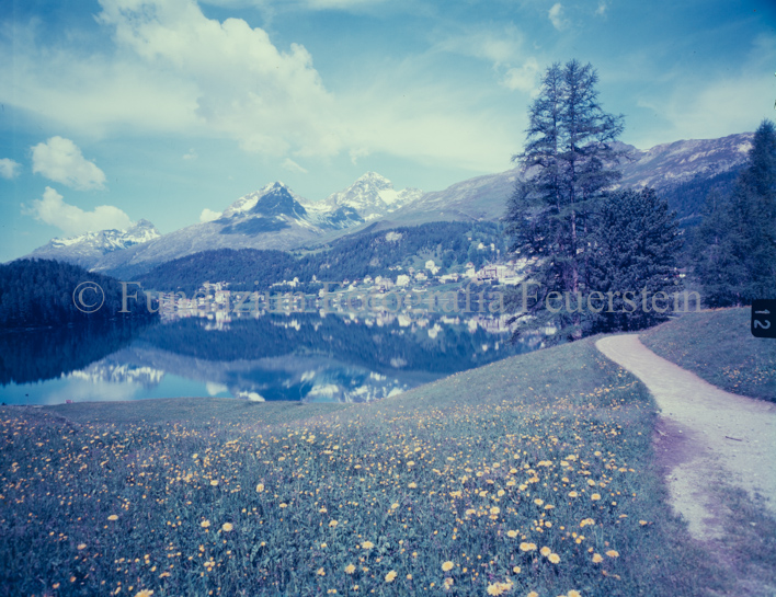 St. Moritz am See mit Blumenwiese