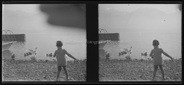 Kind spielt am See, im Hintergrund Ente und Gänse