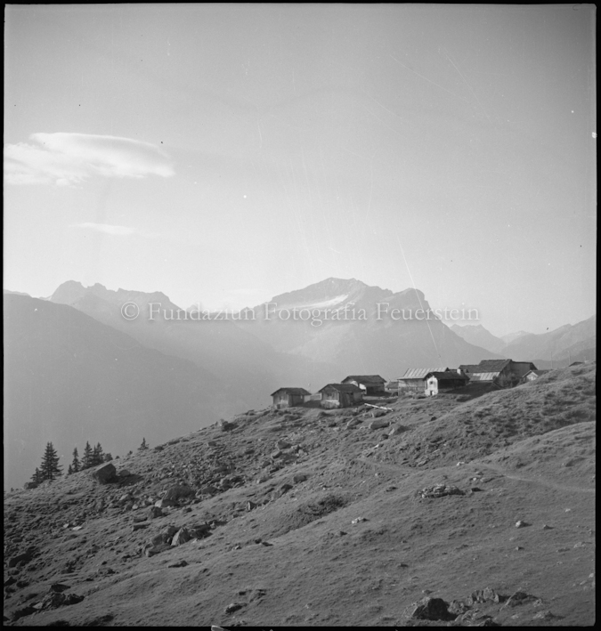 Promischur