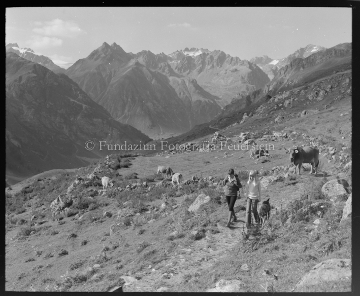 Panoramaweg bei Laret