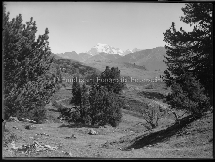 Ortler von der Ofenpasshöhe aus