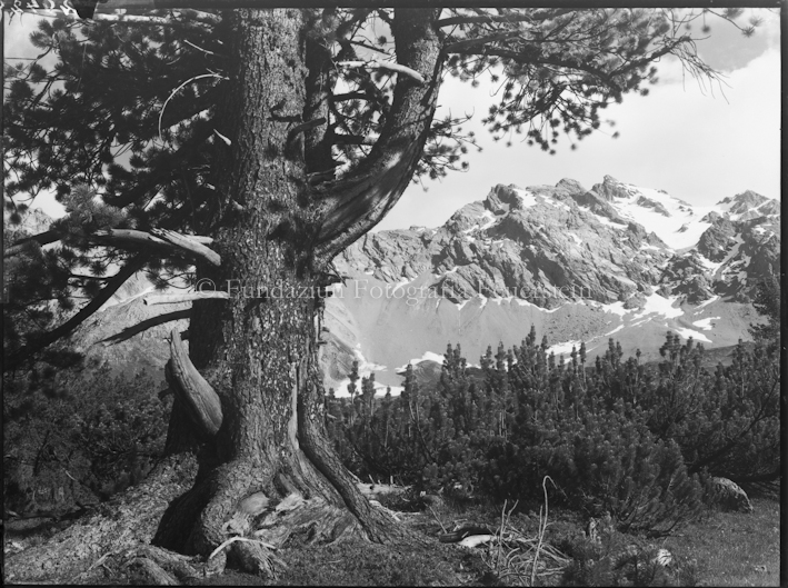 Nationalpark, Piz Foraz von Mingèr aus