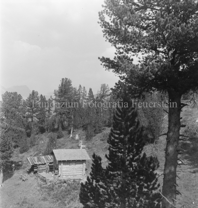 Blockhütte mit Menschen in Bergwald
