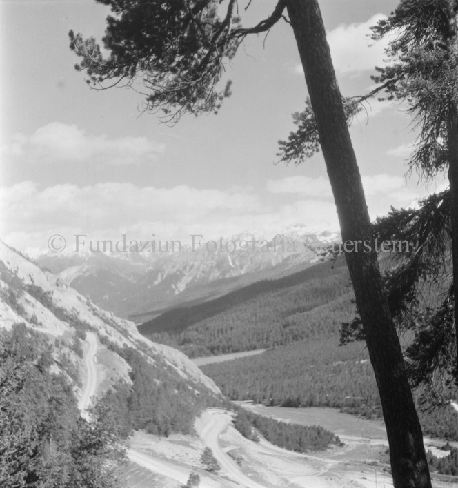 Blick auf Bergstrassengabelung, Baum rechts vorne im Bild