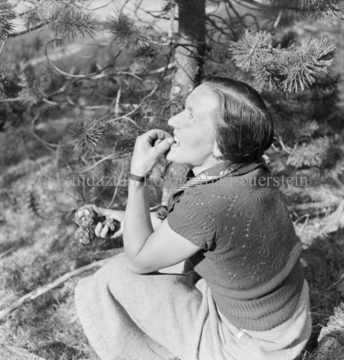 Arvenwald von Tamangur, neben Baum sitzende Frau, Tannzapfen in der Hand