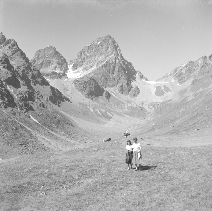 Zwei Frauen auf Wiese in Bergen, Rinder im Hintergrund