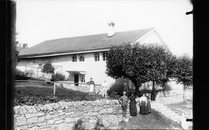 Maison