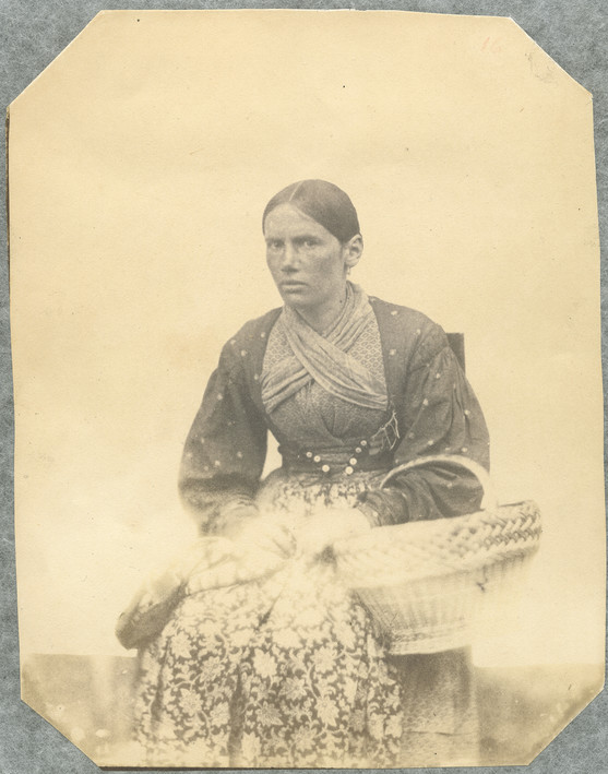 Wächter, Katharina Josephine, alias Katharina Josephine Wagner, vulgo Hopsapudels
