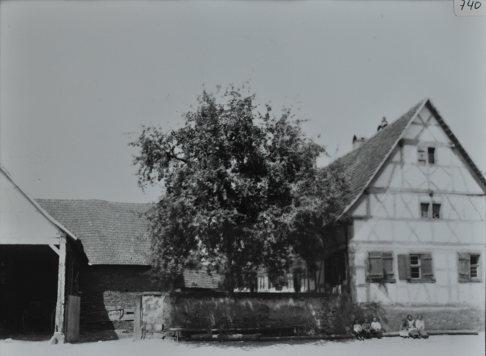Mehrstöckiges gemauertes Bauernhaus mit Satteldach, grosser belaubter Baum steht links vom Haus und hinter einer Steinmauer, weiter links steht eine Scheune, vor dem Wohnhaus sitzen sechs Kinder