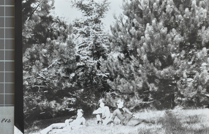 Drei Personen posieren sitzend auf einer Wiese mit Sonnenlich, dahinter Bäume