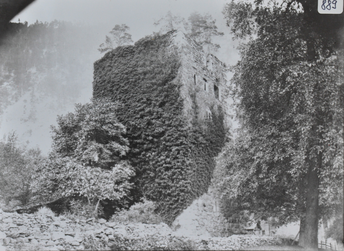 Ansicht einer Burg aus Stein, Wände mit Kletterpflanzen versehen, mehrere grosse belaubte Bäume vor der Burg, Steinmauer im Vordergrund 