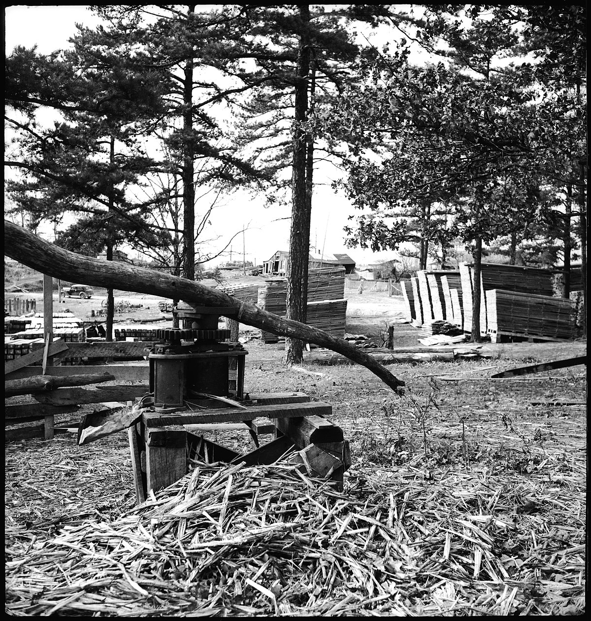"Camp 4" - Holzfäller-Lager in den Cumberland Mts. Tenn. [Legende auf separatem Umschlag]