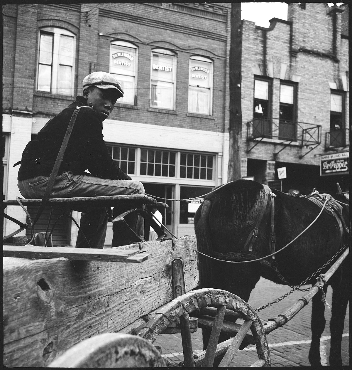 USA, Montgomery/AL: Menschen; Ein Junge auf einer Kutsche