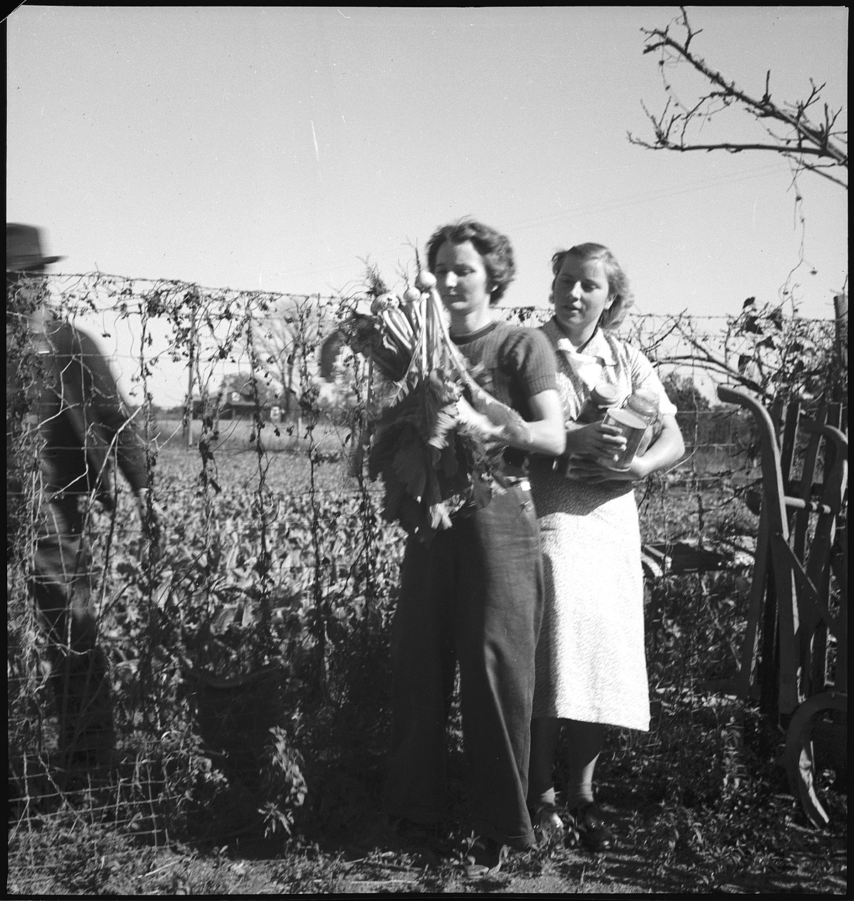 USA, Pine Mountain Valley/GA: Menschen; Zwei Frauen, die eine hält Gemüse, die andere Gläser