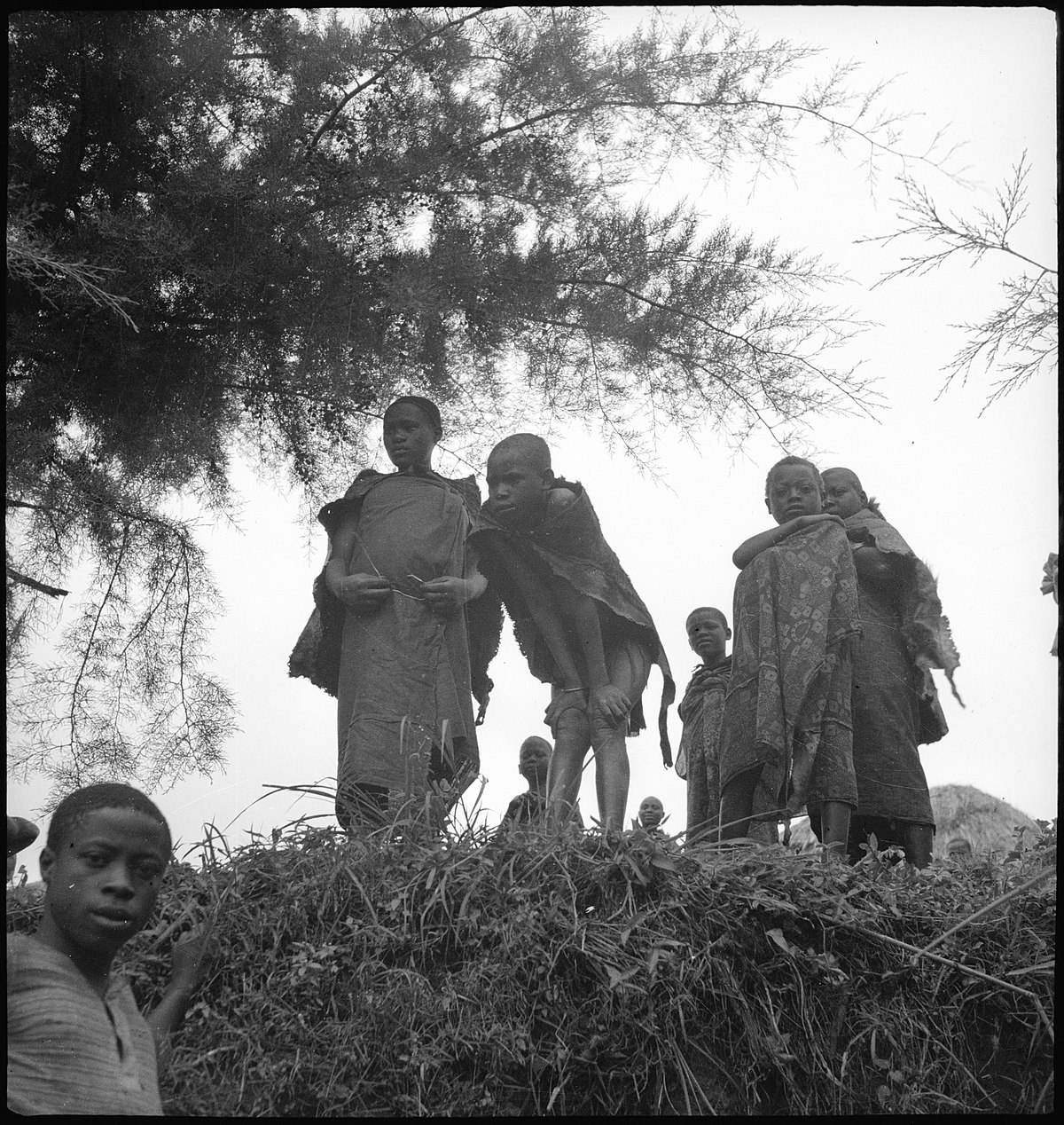 Belgisch-Kongo, Parc National Albert (Parc National des Virunga): Menschen; Mehrere Mädchen und Knaben stehen auf einer Böschung