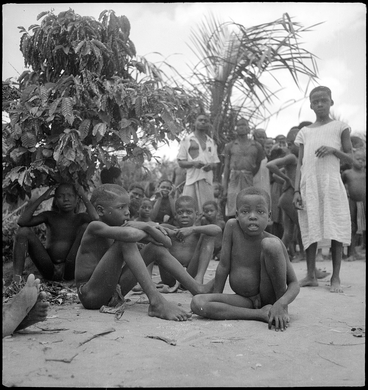 Belgisch-Kongo, Molanda (Malanda): Menschen; Eine Gruppe von nackten Kindern, teilweise sitzend am Boden neben Sträuchern