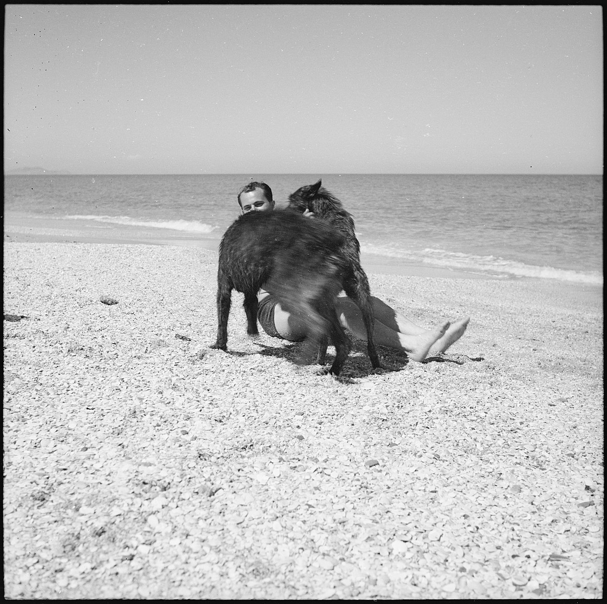 Spanisch-Marokko, Tétouan: Claude Clarac (?); Claude Clarac (?) mit den Hunden Ourmès und Poulah spielend am Strand von Tétouan