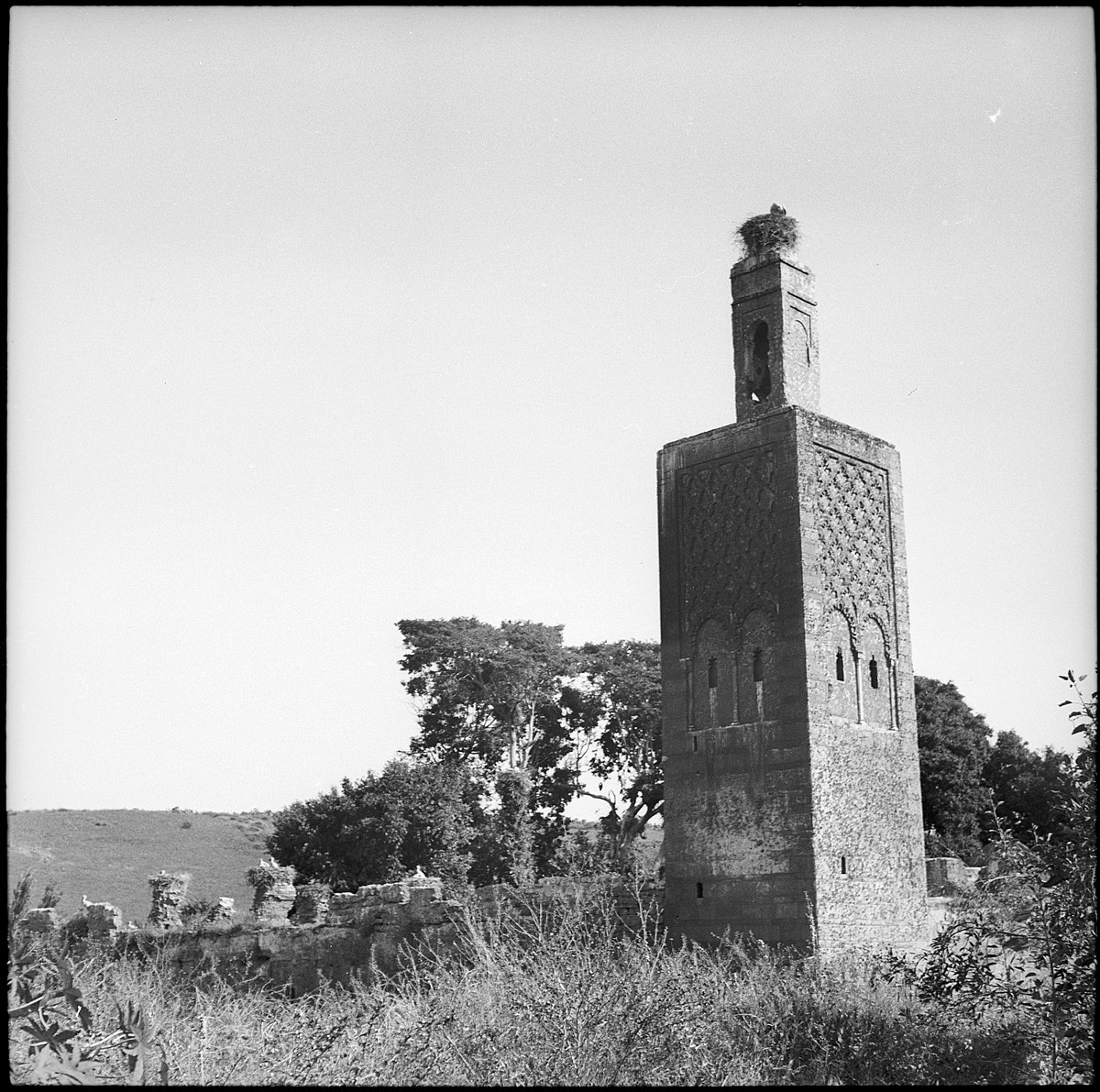 Französisch-Marokko, Rabat: Grabstätte Chellah; Aussenansicht des viereckigen Minaretts neben Ruinenresten