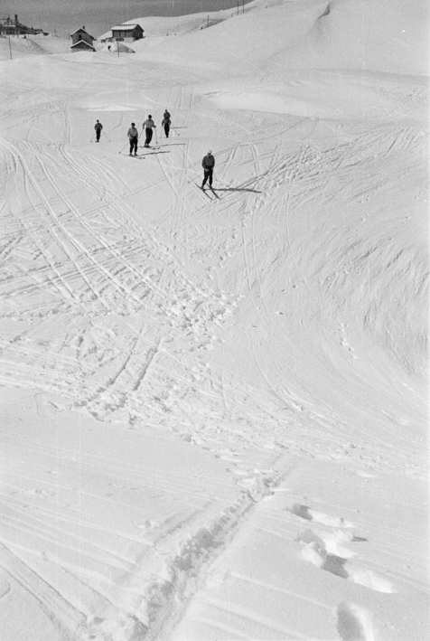 Skifahrer bei der Abfahrt Richtung Grindelwald unterhalb Bahnhof Kleine Scheidegg