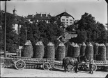 Straf- und Verwahrungsanstalt Thorberg, Krauchthal; mehrere Holztristen aufgestellt auf dem Areal der heutigen Schreinerei, im Vordergrund ein Pferdegespann mit Leiterwagen, im Hintergrund der Thorberg