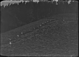 Straf- und Verwahrungsanstalt Thorberg, Krauchthal; mehrere Gefangene beim Mähen im Glied an einer steilen Wiese