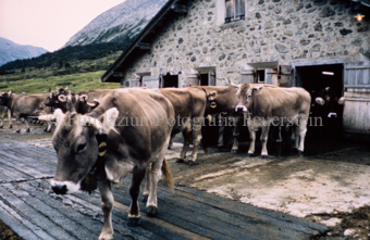 Diaschau Scuol 1984
