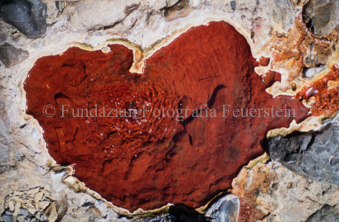 Rote Pfütze im Felsen