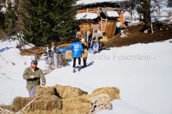 Personen füllen Heuballen in Wildfutterstelle im Winter