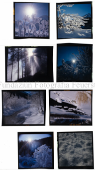 Aus der Serie: Nationalpark, S-charl, Stimmungen Winter