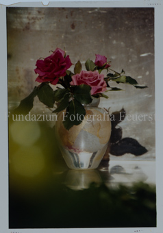 Aus der Serie: Nationalpark, S-charl, Stimmungen, Sujet für Karten Antonia