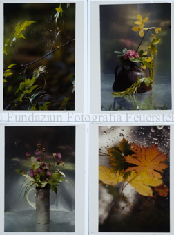 Aus der Serie: Nationalpark, S-charl, Stimmungen, Sujet für Karten Antonia