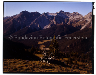 Aus der Serie: Nationalpark, S-charl, Stimmungen, Nationalpark
