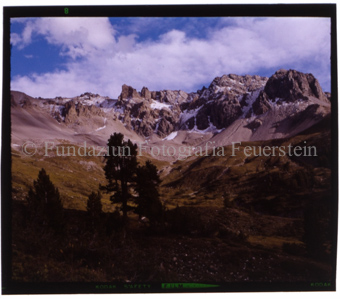 Tamangur, Val S-charl