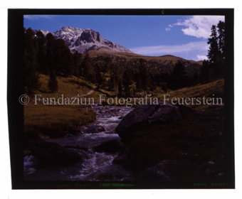 Tamangur, Val S-charl