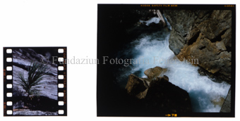Diverse Bilder
