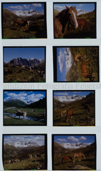 Schombrina, Val S-charl
