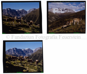 Schombrina, Val S-charl