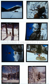 Aus der Serie: Sommersport, Jagd/Fischen, Jagd