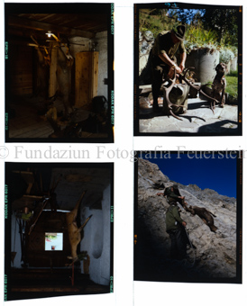 Aus der Serie: Sommersport, Jagd/Fischen, Jagd