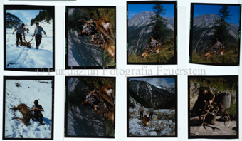 Aus der Serie: Sommersport, Jagd/Fischen, Jagd