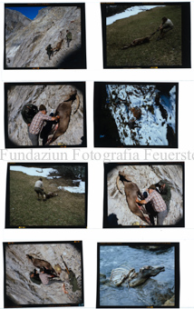 Aus der Serie: Sommersport, Jagd/Fischen, Jagd