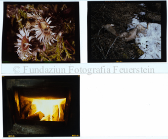 Aus der Serie: Sommersport, Jagd/Fischen, Jagd