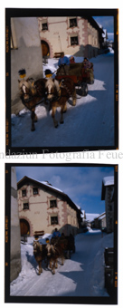 Aus der Serie: Wintersport, Pferdeschlitten