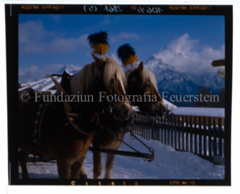 Aus der Serie: Wintersport, Pferdeschlitten
