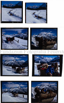 Aus der Serie: Wintersport, Pferdeschlitten