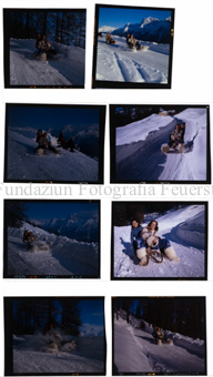 Aus der Serie: Wintersport, Schlitteln