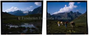 Muot da Lais, Sommer
