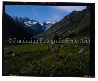 Val Tasna, Sommer