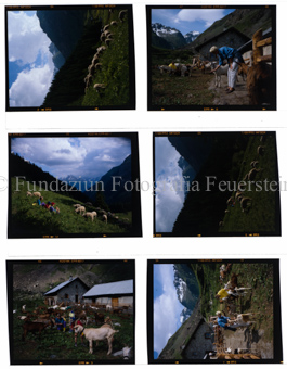 Val Tasna, Alp Mala